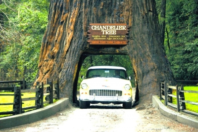 OREGON-CRATER LAKE-REDWOOD NATIONAL PARK-MCCLOUD FALLS-SUNDIAL BRIDGE  LE LABOR DAY AUG 30-31- SEP 1, 2025 